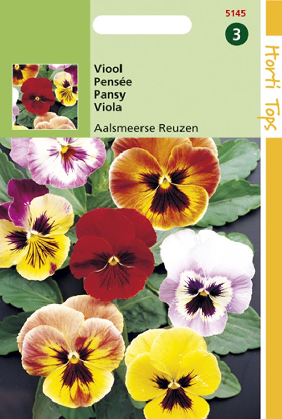 Viool Aalmeerse Reuzen (Viola wittrockiana) 320 zaden HT